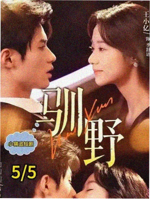 cibn高清影视剧集铜色黄昏海报
